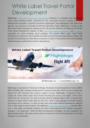 White Label Travel Portal Development, Travel Website