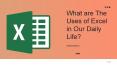 What are the uses of excel in our daily life? PowerPoint PPT Presentation