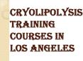 Cryolipolysis Training Courses in Los Angeles PowerPoint PPT Presentation