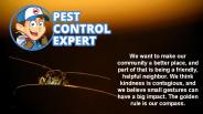 Pest Management Services in Southampton - Pest Control Expert