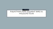 Forts and Palaces of Rajasthan