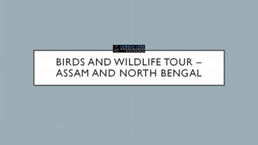Birds And Wildlife Tour