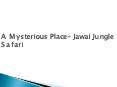 A Mysterious Place- Jawai Jungle Safari PowerPoint PPT Presentation