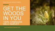 The best pine pollen tincture and Synthetic Supplement.