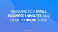 Reasons for Small Business Lawsuits And How to Avoid Them PowerPoint PPT Presentation