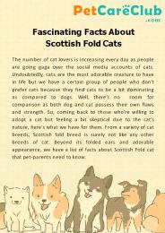 Fascinating Facts About Scottish Fold Cats