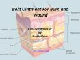 Are Looking For best Ointment for Burn and wound By ILOSUN ointment PowerPoint PPT Presentation