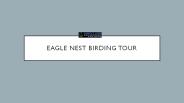 Eagle nest wildlife sanctuary