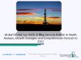 2020 Oil And Gas Wells Drilling Services Industry Growth And Strategies PowerPoint PPT Presentation