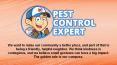 Pest Control, Inspection Specialist in Delmar - Pest Control Expert PowerPoint PPT Presentation