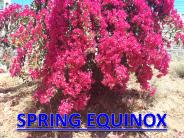 Spring Equinox