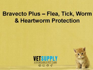 Bravecto Plus – Flea, Tick, Worm & Heartworm Protection