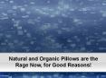 Natural and Organic Pillows
