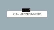 Snow Leopard Tours India