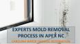 Experts Mold Removal Process in Apex NC PowerPoint PPT Presentation