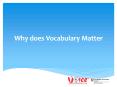 Why does Vocabulary Matter - Voiceskills PowerPoint PPT Presentation