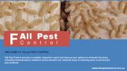 Termite Inspection Penrith - Falls Pest Control