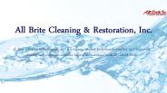 Mold Removal Belmont