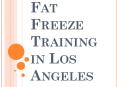 Fat Freeze Training in Los Angeles PowerPoint PPT Presentation