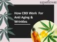 How CBD Oil Work For Anti-Aging & Wrinkles PowerPoint PPT Presentation