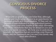 Conscious Divorce Group with Experienced Coaches