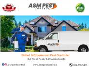 ASM Pest Control | Pest Control Services | 604-589-5403