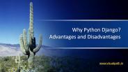 Why Python Django? Advantages and Disadvantages