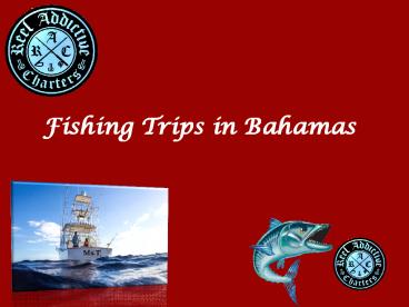 Fishing trips in Bahamas | Reel Addictive Charters
