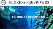 Spearfishing Gear