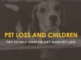 TIPS TO HELP YOUR KID GET OVER PET LOSS PowerPoint PPT Presentation