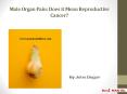 Male Organ Pain: Does it Mean Reproductive Cancer? PowerPoint PPT Presentation
