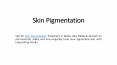 Skin Pigmentation PowerPoint PPT Presentation