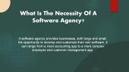 What Is The Necessity Of A Software Agency?