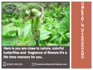 Homestay In Uttarakhand (2)