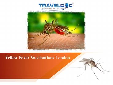 Yellow Fever Vaccinations London