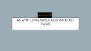 wildlife sanctuaries of gir forest
