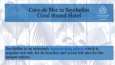 Coco de Mer in Seychelles