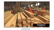 WHAT ARE TIMBER BASED MATERIALS?