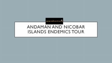 Big Cats of India (West and Central India)