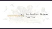 Ranthmbore national park
