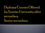 Diploma Courses Offered by SRU after