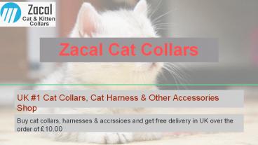 Buy Cool And Safe Cat Collars online.