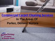 Commercial Carpet Cleaning Company-Carbo Cleaner