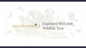 Eaglenest wildlife sanctuary (1)
