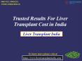 Trusted Results For Liver Transplant Cost In India PowerPoint PPT Presentation