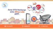 DTH Recharge Offers Today