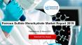 Ferrous Sulfate Monohydrate Market Report 2019 PowerPoint PPT Presentation
