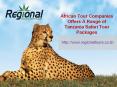 African Tour Companies Offers a Range of Tanzania Safari Tour Packages PowerPoint PPT Presentation