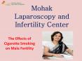 The Effects of Cigarette Smoking on Male Fertility PowerPoint PPT Presentation
