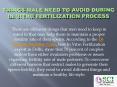 Things Male need to Avoid During In Vitro Fertilization Process PowerPoint PPT Presentation